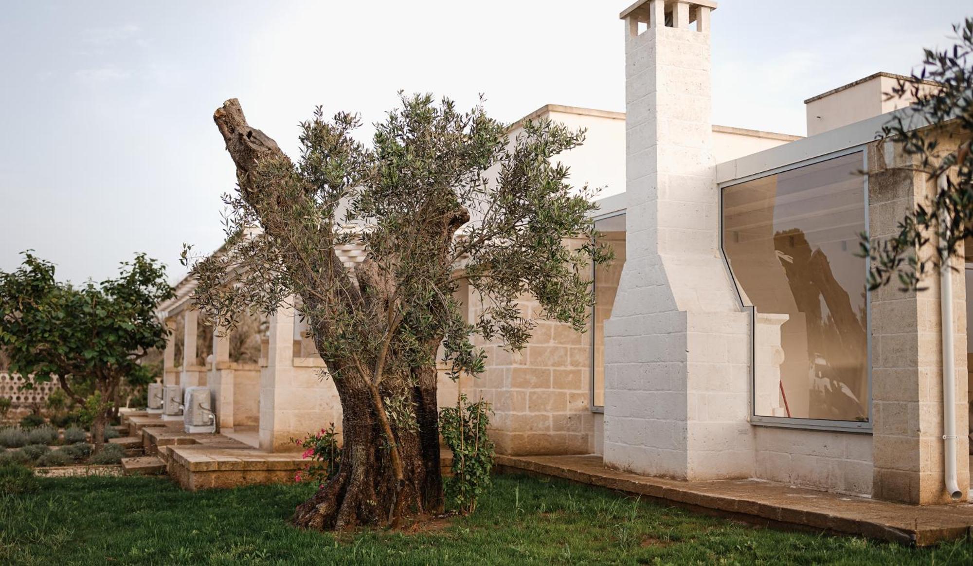 San Lorenzo Camere&Suites Lizzanello 외부 사진